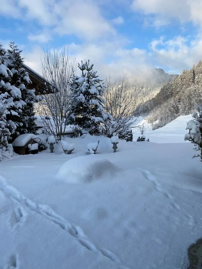 Homestay Kurzzeitdomizil In Oberstdorf Apartment